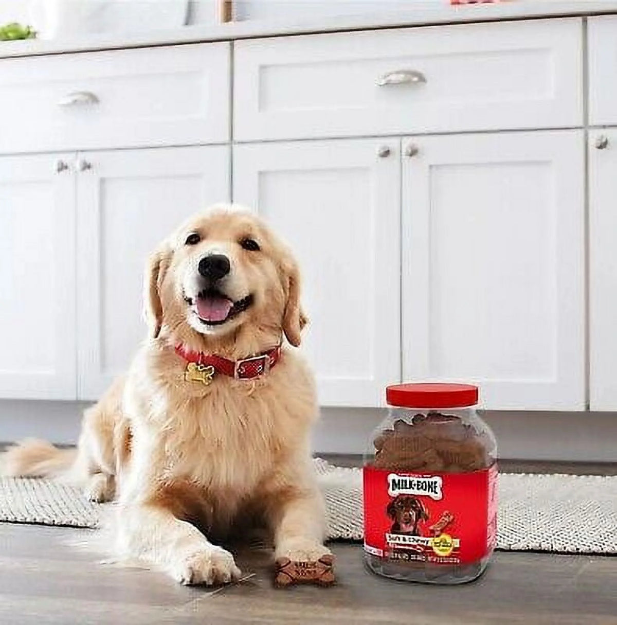 Soft & Chewy Dog Snacks 37 oz R680411