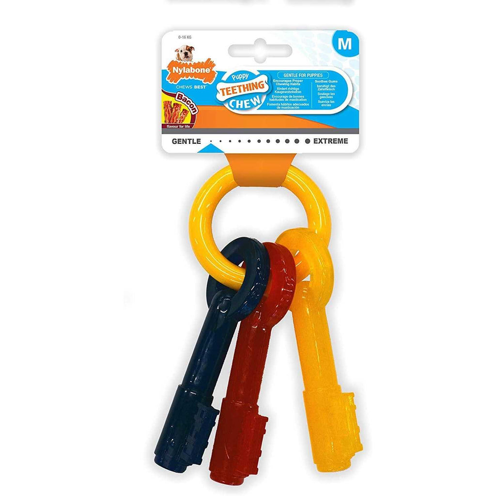 Puppy Chew Teething Keys E910158