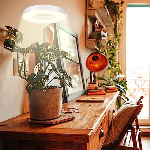 4000K White Full Spectrum Halo Plant Lamp with Auto On Off Timer M28473