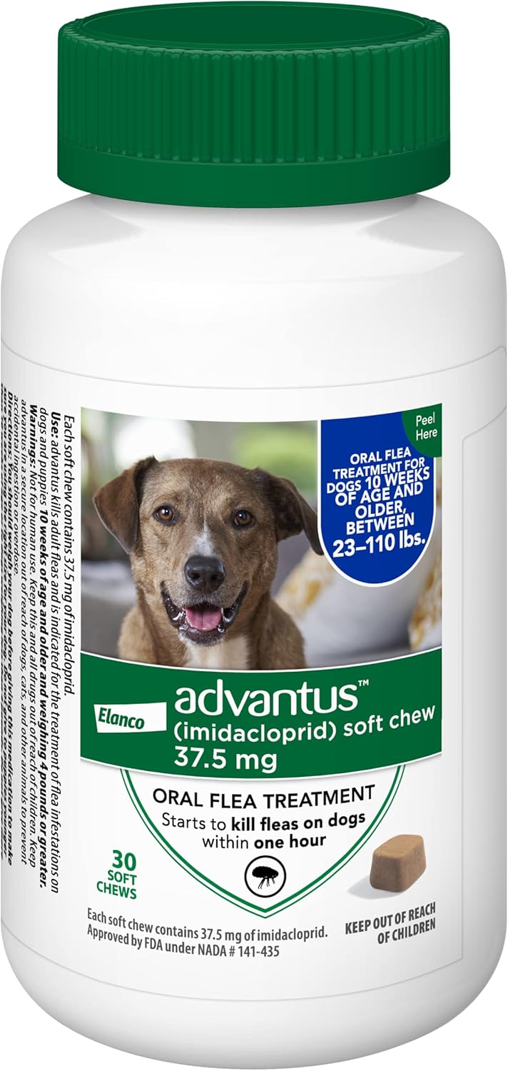 Chewable Flea Treatment for Large Dogs, 23-110 Pounds, Pack of 2 B983