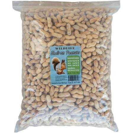 Peanuts in Shell S212091