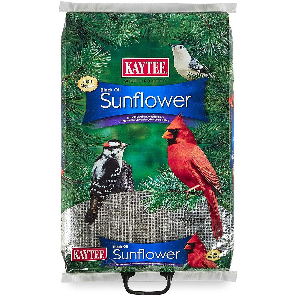 Black Oil Sunflower Food Y635