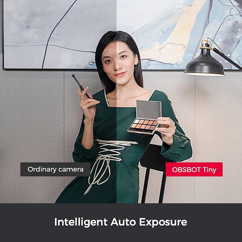 1080p PTZ Webcam with AI Framing and Gesture Control W490264