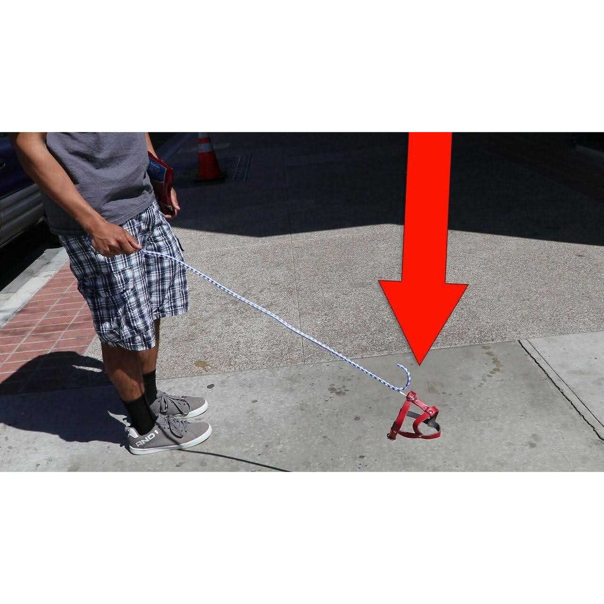 Invisible Dog Leash R966
