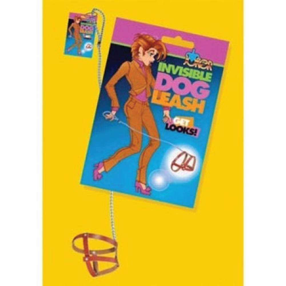 Invisible Dog Leash R966