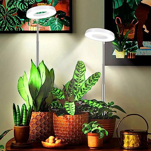 4000K White Full Spectrum Halo Plant Lamp with Auto On Off Timer M28473