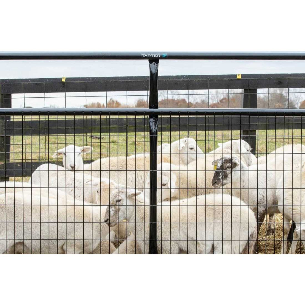 10 ft 2 x 4 Wire Filled Gate B62139
