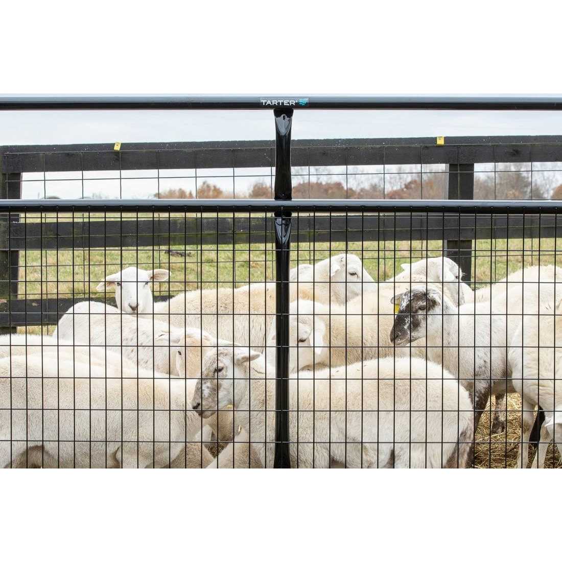 10 ft 2 x 4 Wire Filled Gate B62139