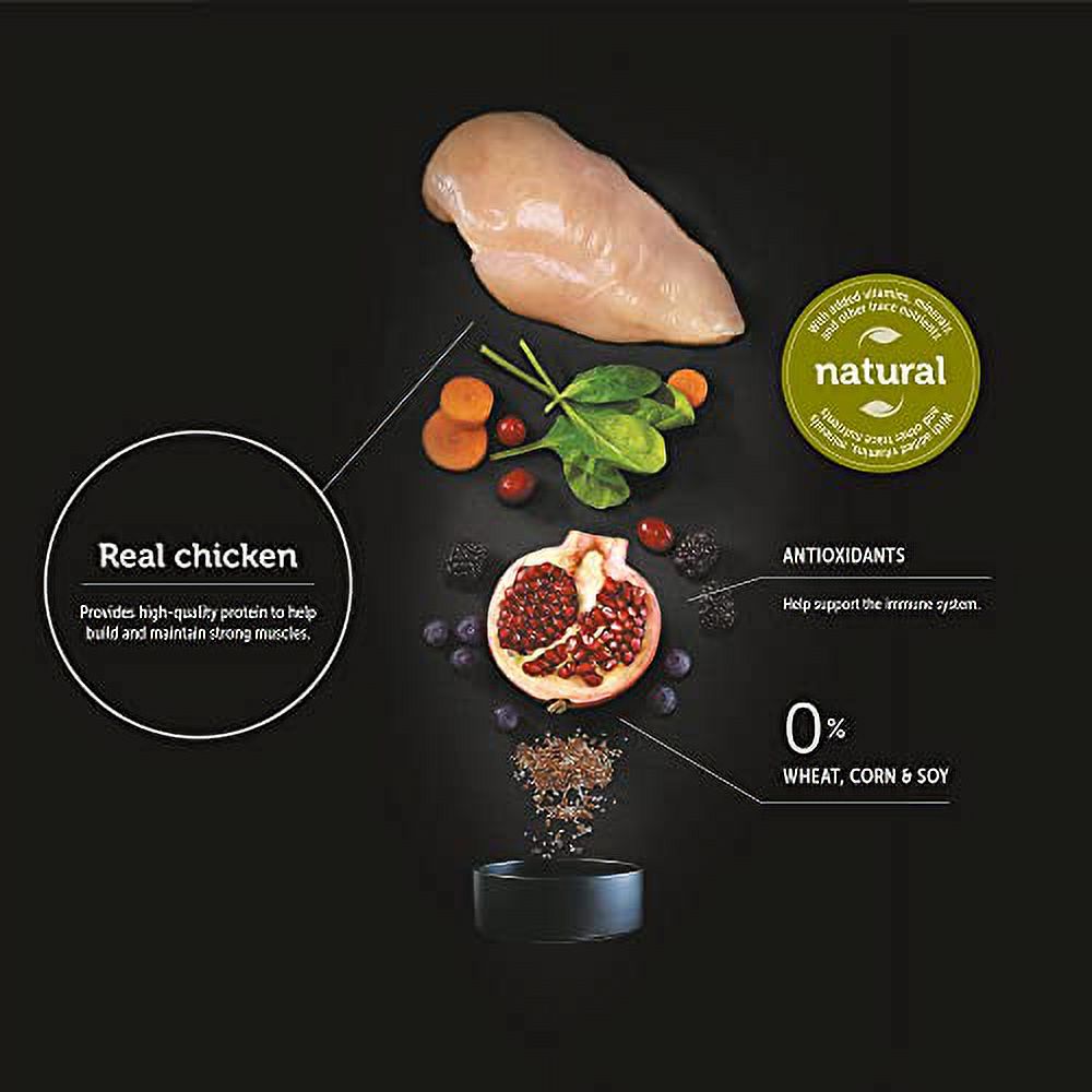 Chicken and Rice Cat Food, 7 lb I906174