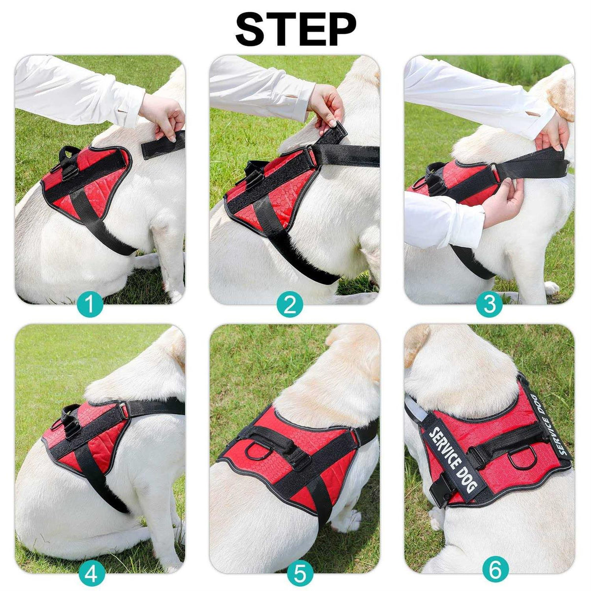 Service Dog Harness K66623