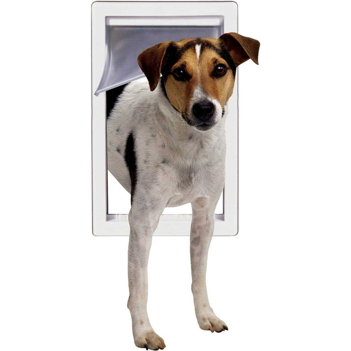 Pet Door U98571