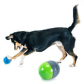 Electronic Dog Toy Q734235