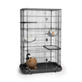 Premium Cat Home with 4 Levels Q81607
