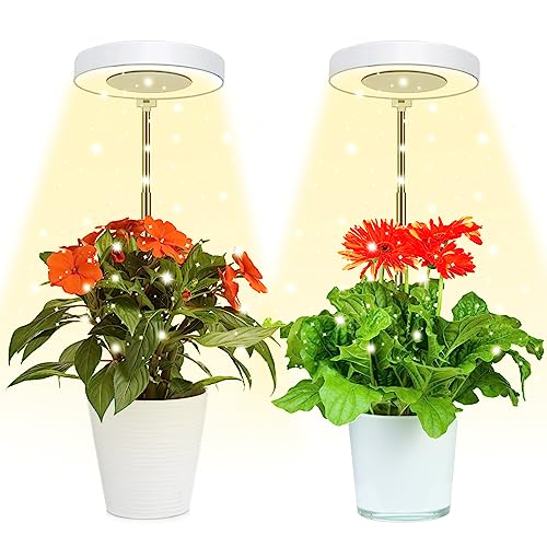 4000K White Full Spectrum Halo Plant Lamp with Auto On Off Timer M28473