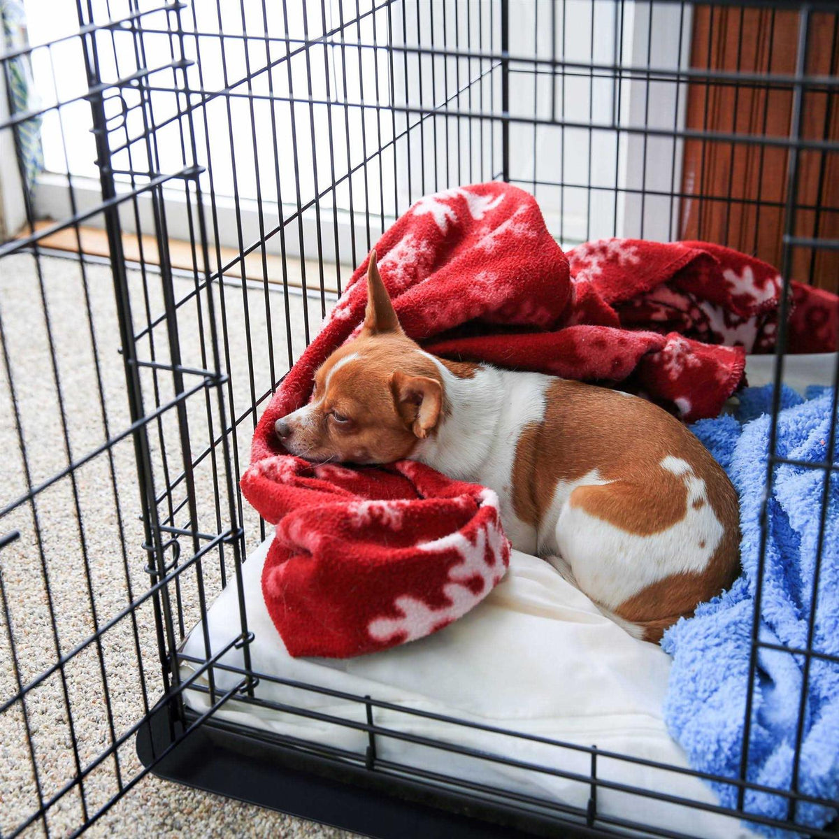Pet Crate Floor Protection Mat A3855