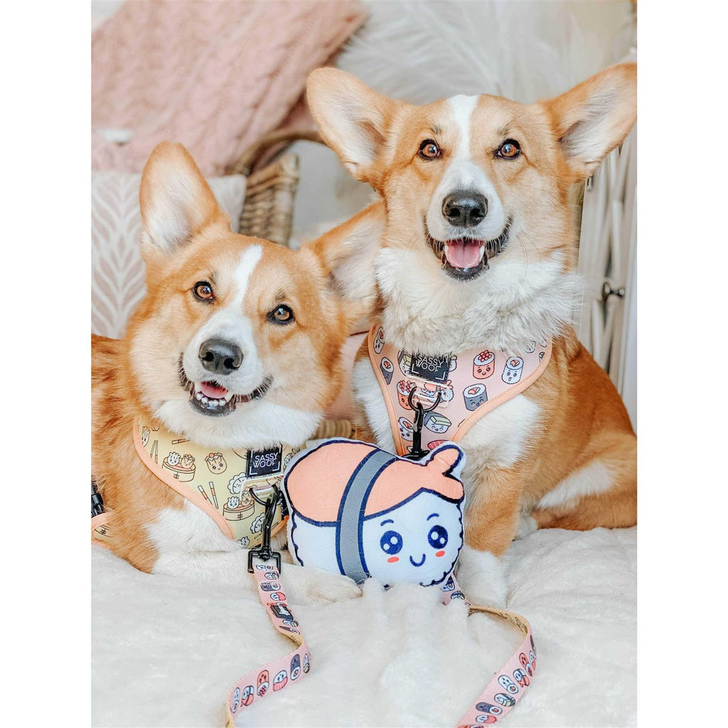 Reversible Dog Harness Y8119