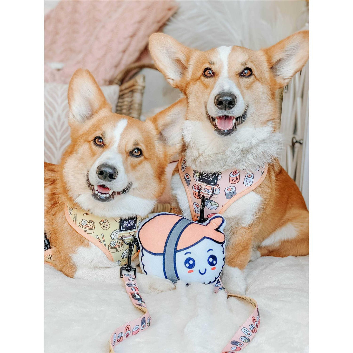 Reversible Dog Harness Y8119