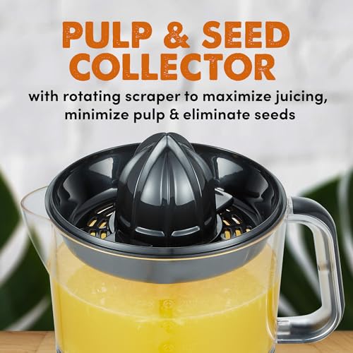 BPA-Free Electric Citrus Juicer 24oz Black/Stainless Steel B71532