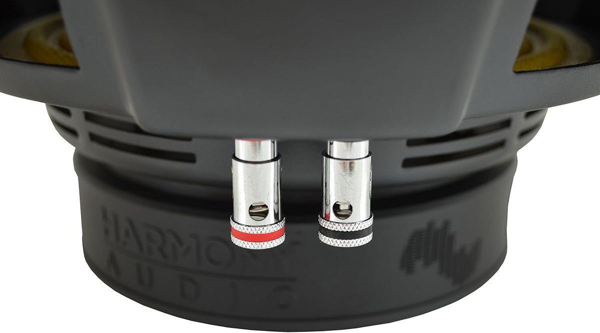 800W Dual 2 Ohm Car Subwoofer V42007