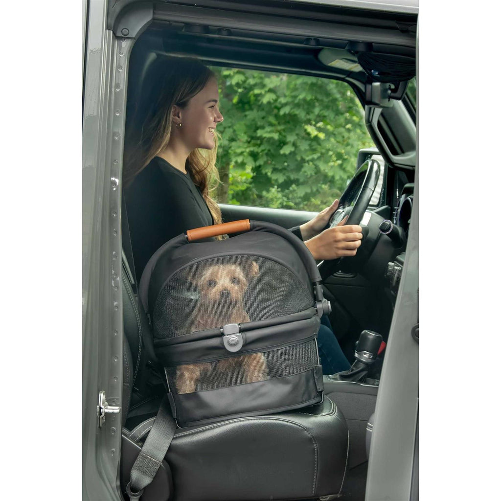 Pet Carrier V37141