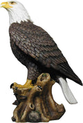 Bald Eagle Statue Nature Figure Q603888
