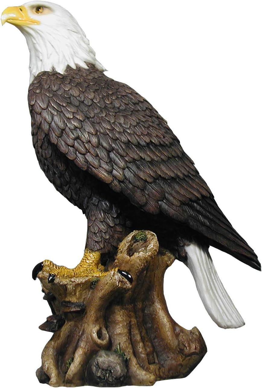 Bald Eagle Statue Nature Figure Q603888