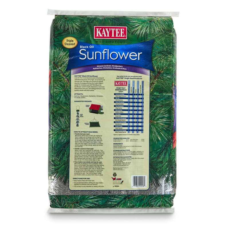 Black Oil Sunflower Food Y635