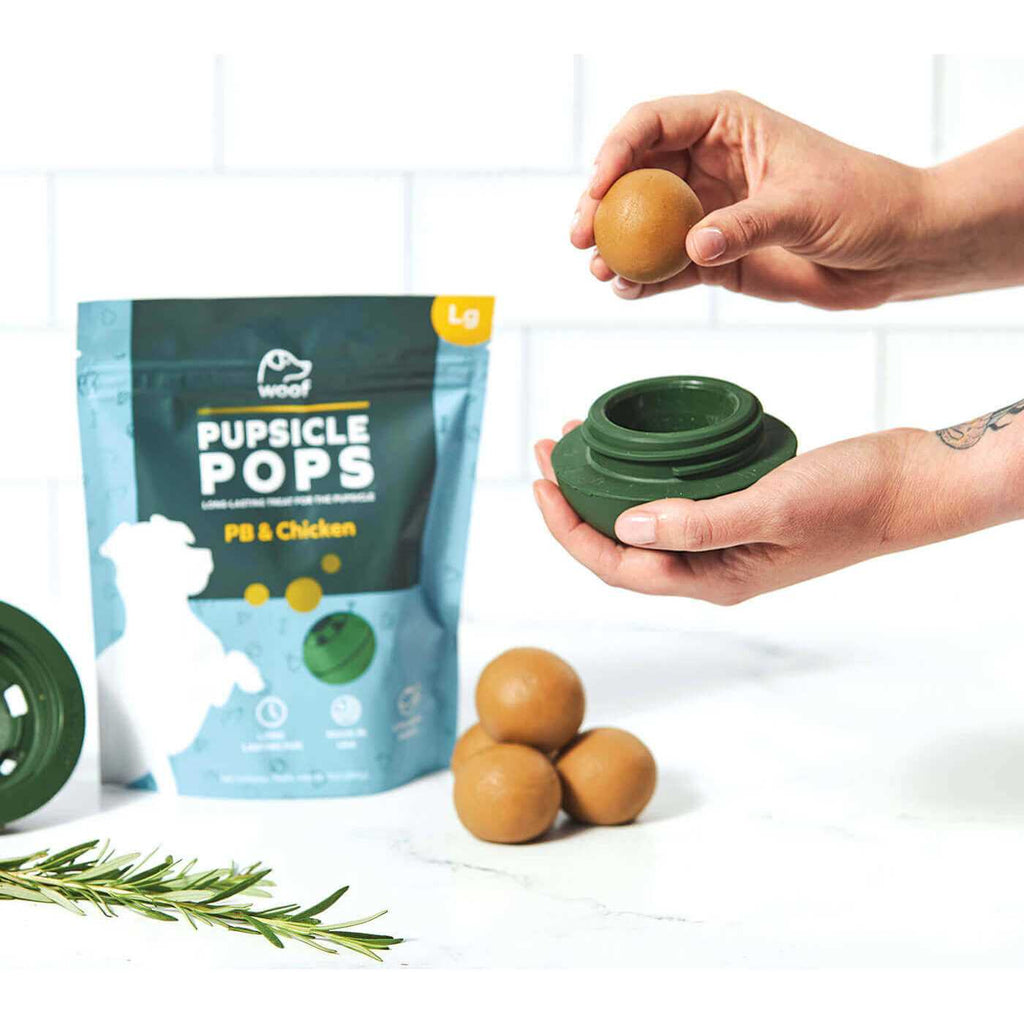 Pupsicle Starter Pack Treat W808765