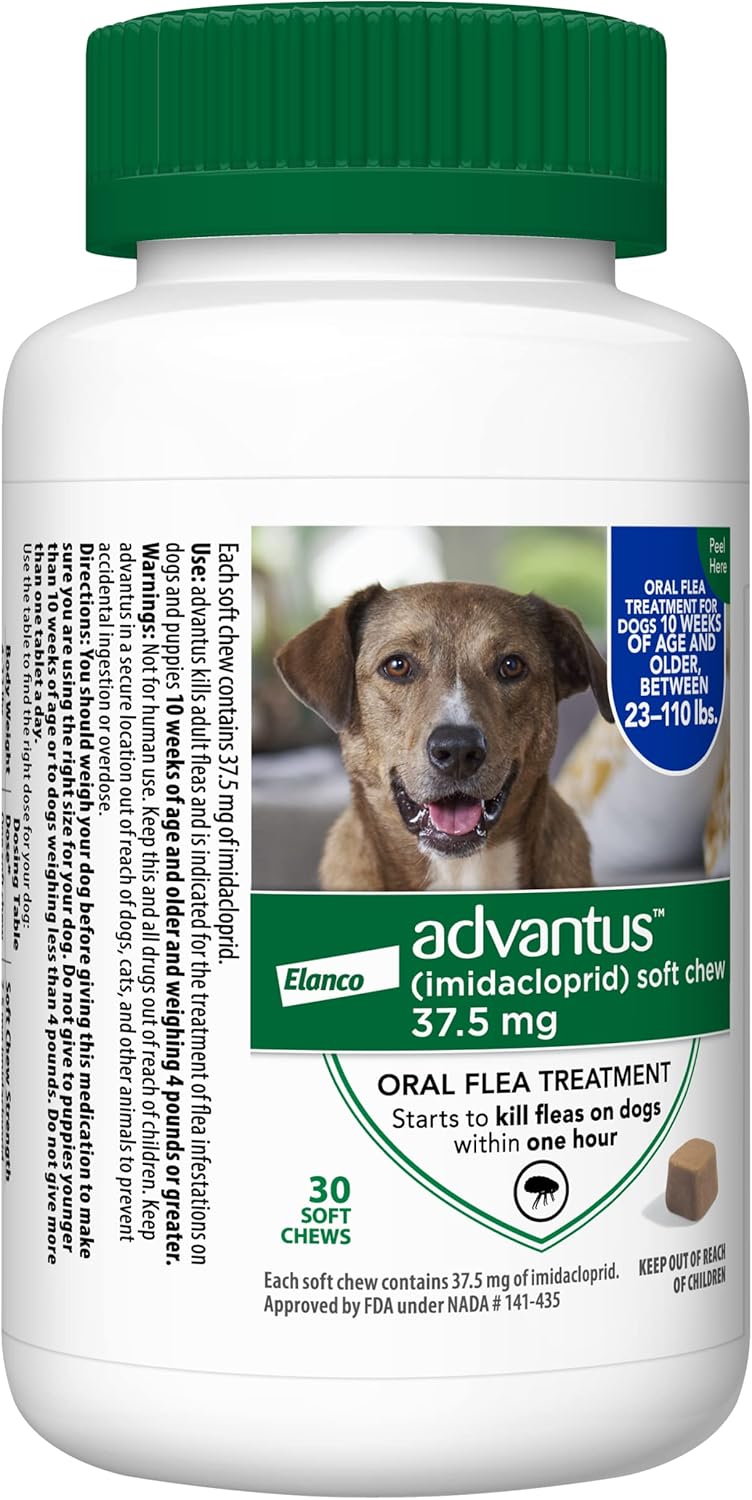 Chewable Flea Treatment for Large Dogs, 23-110 Pounds, Pack of 2 B983