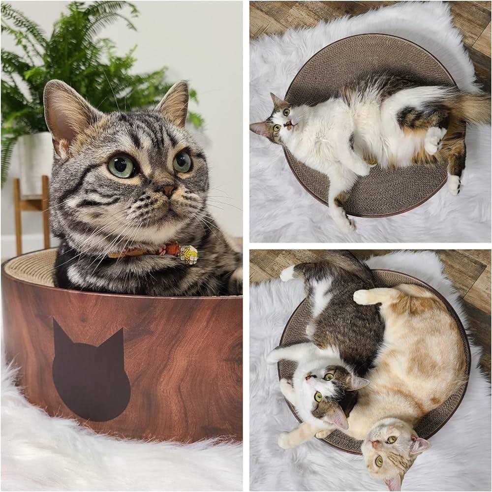 Cat Scratcher Bowl R872