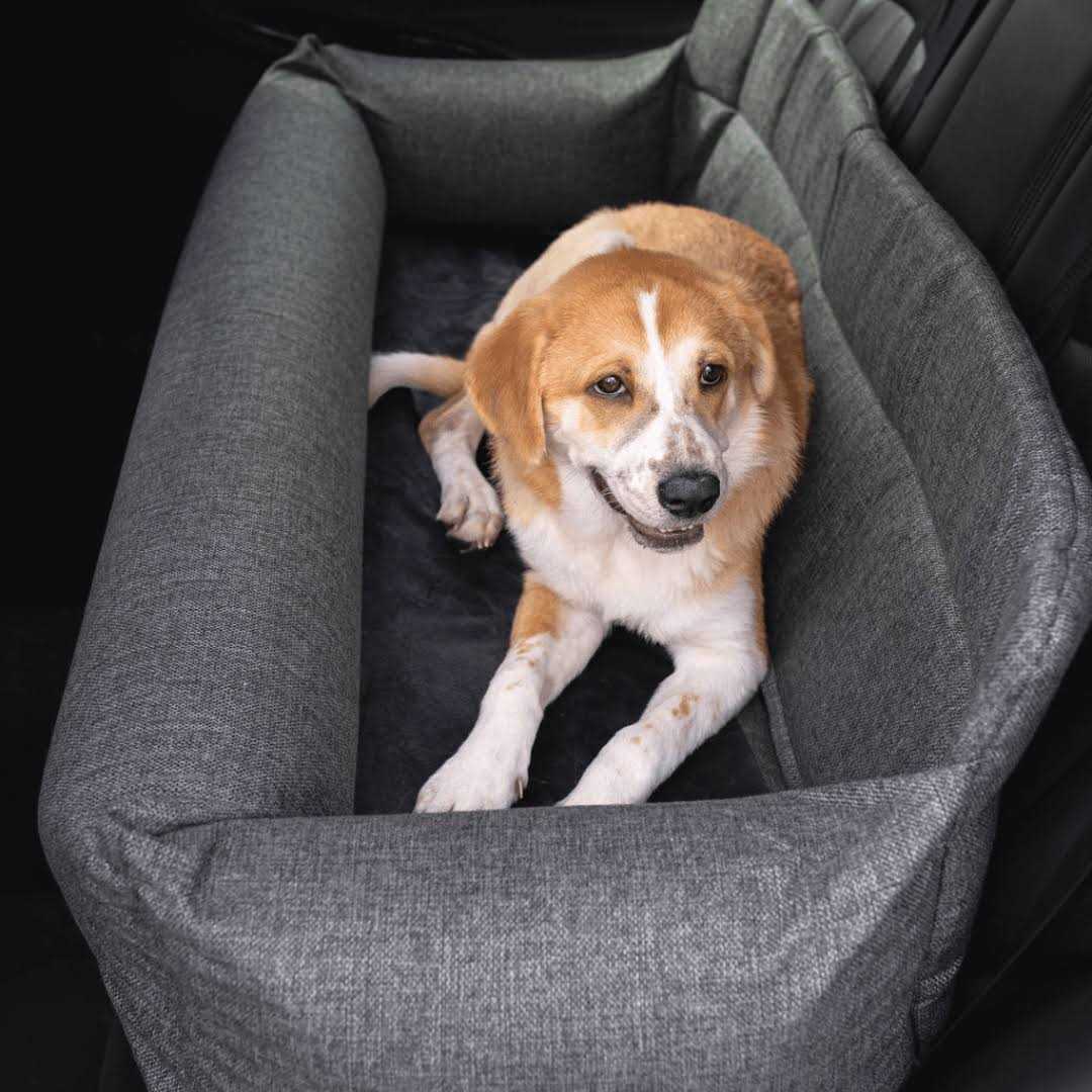 Memory Foam Dog Car Bed Gray Full Back Seat O83475