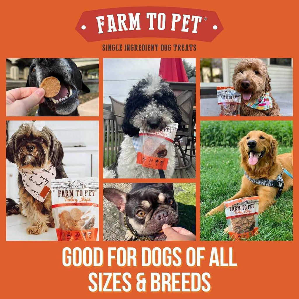 Turkey Chips Dog Treats Z9562