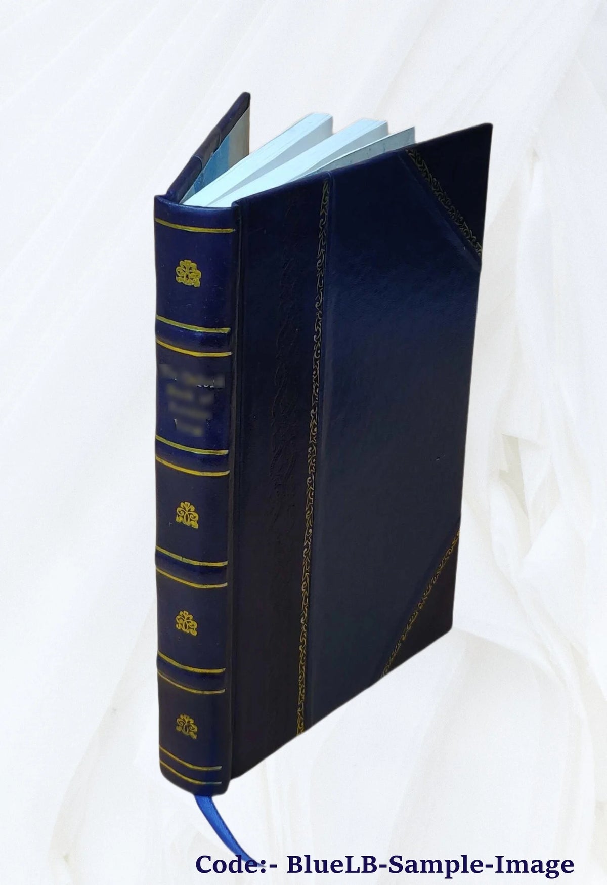 De Officiis Hominis Et Civis Libri Duo W834