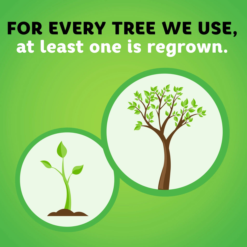White 12 Super Rolls Paper Towels A297294