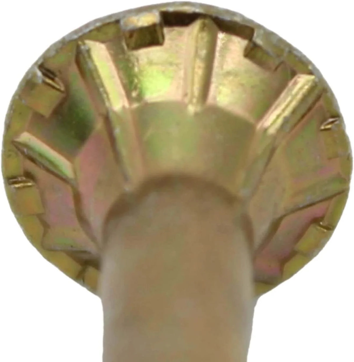 Gold Star Wood Torx/Star Drive Head Multipurpose Wood Screws 6500 Count A1705