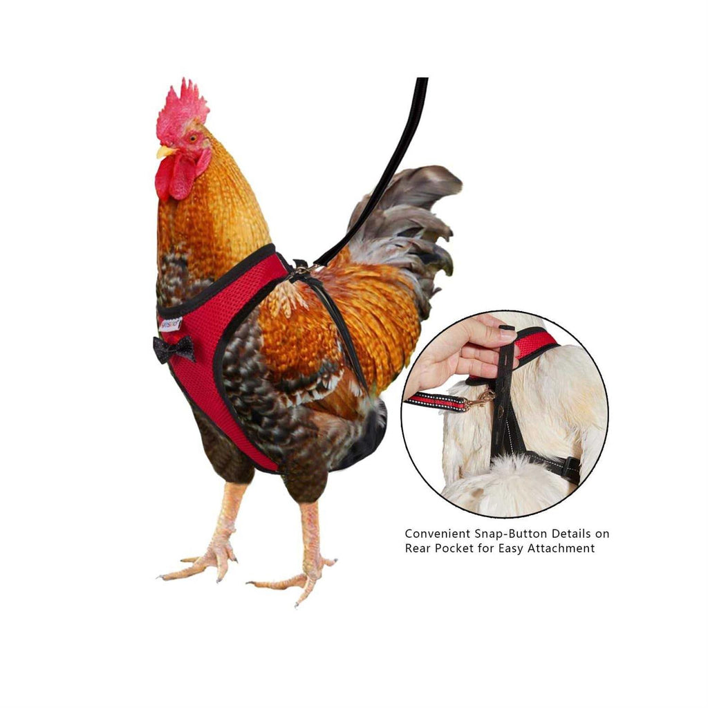 Chicken Harness with 6ft Leash L836515
