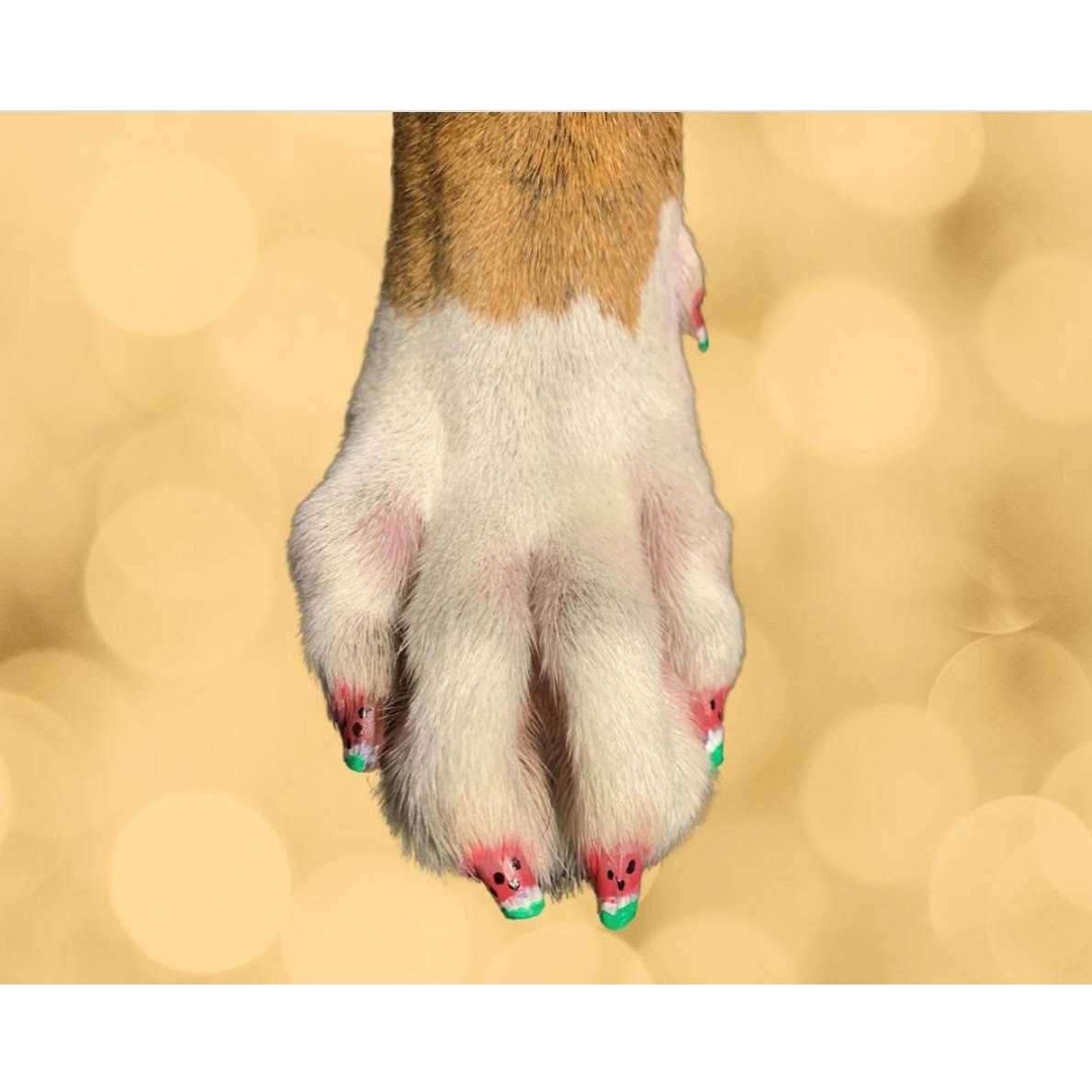 Dog Nail Polish Pen G2302