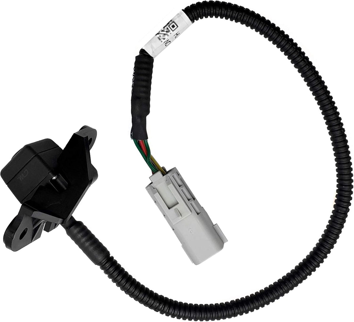 Backup Camera F179