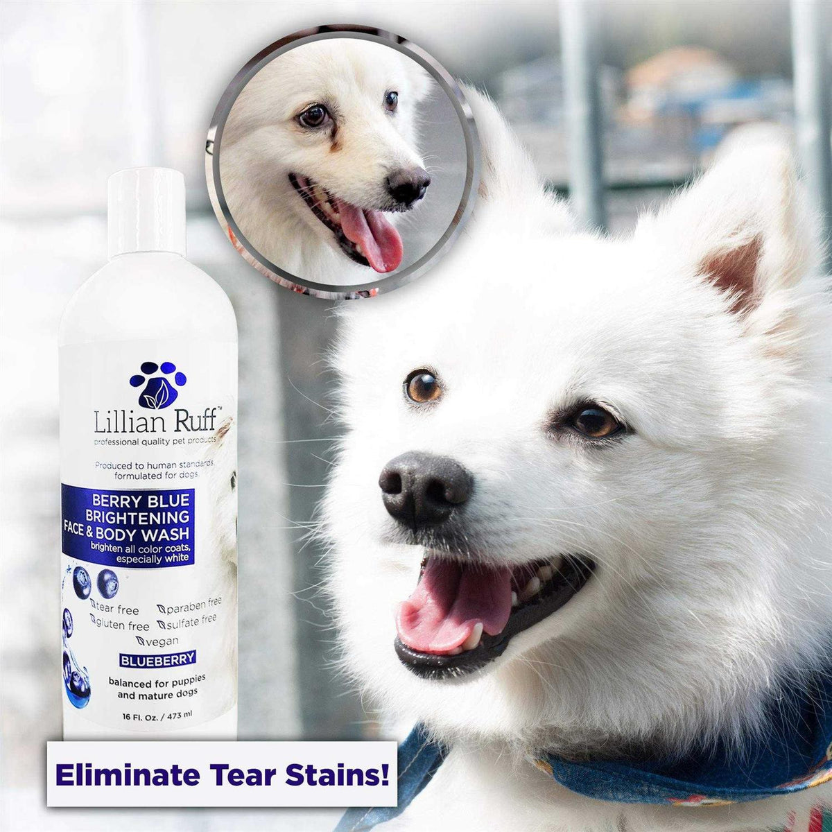 Berry Blue Brightening Face and Body Wash for Dogs and Cats F8805