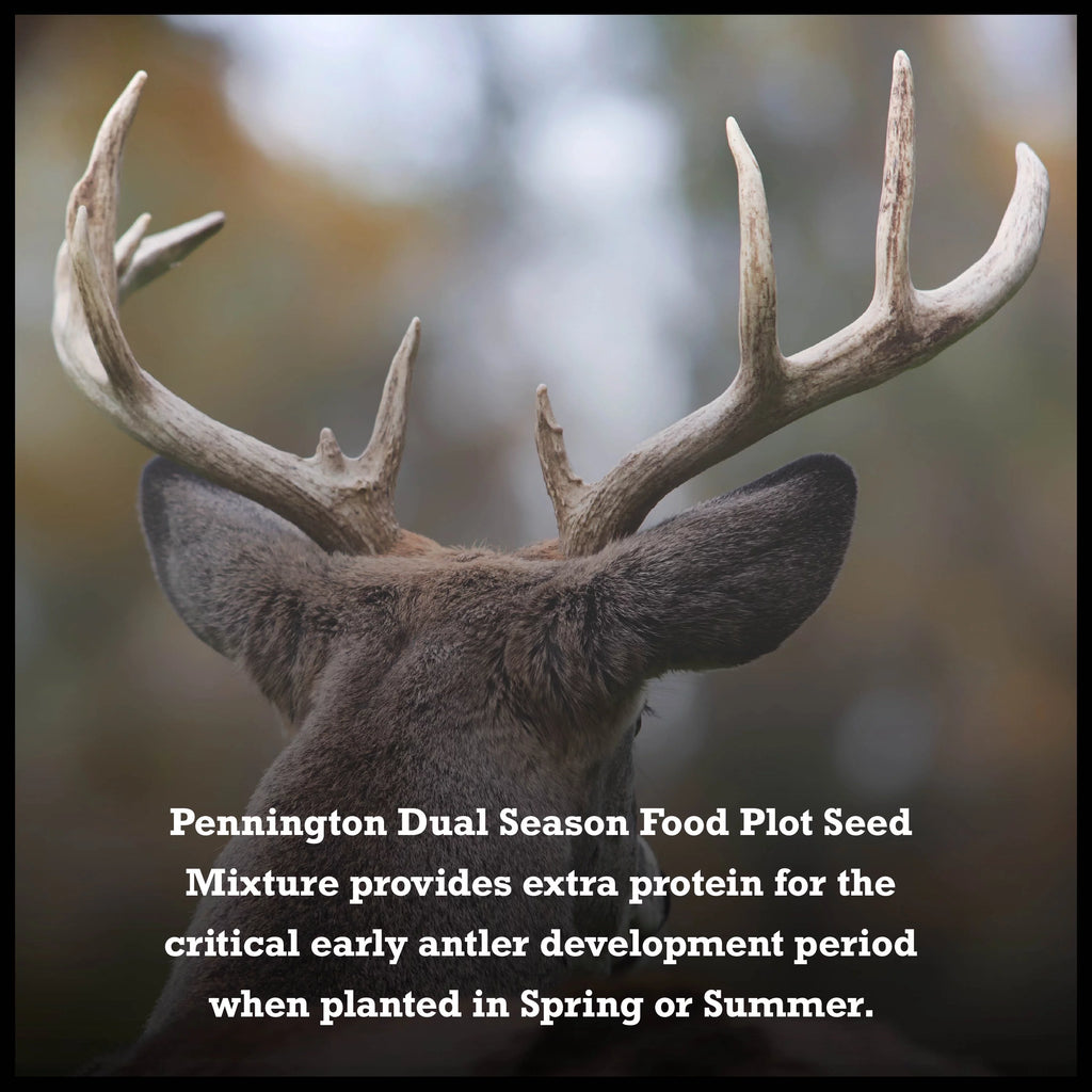 10 lb. Dual Season Food Plot Seed C38455