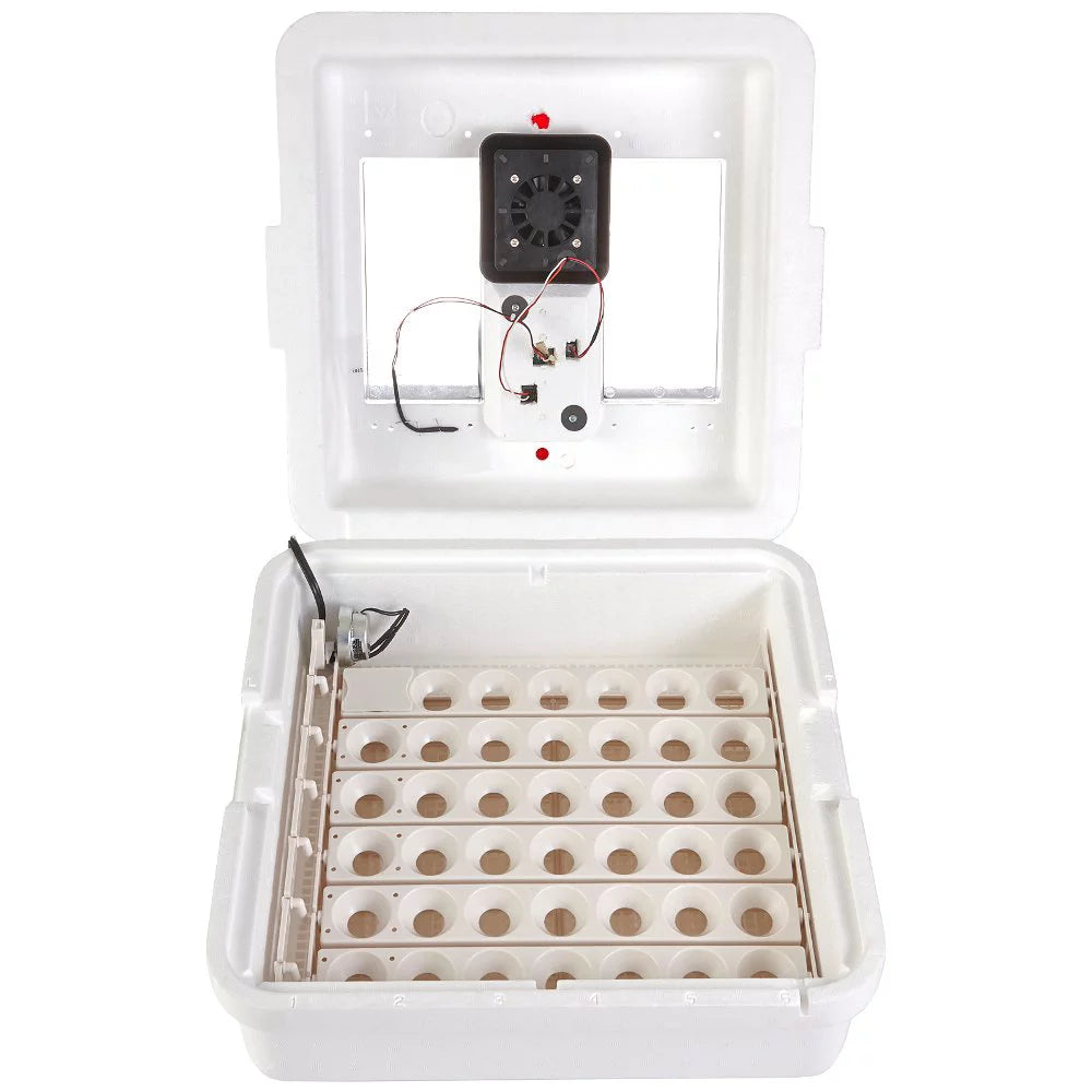 Deluxe Circulated Air Incubator with Egg Turner B229369