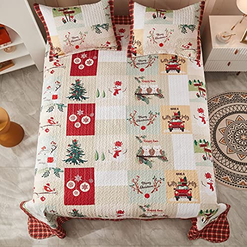 White Queen Christmas Quilt Bedspread Set P1871