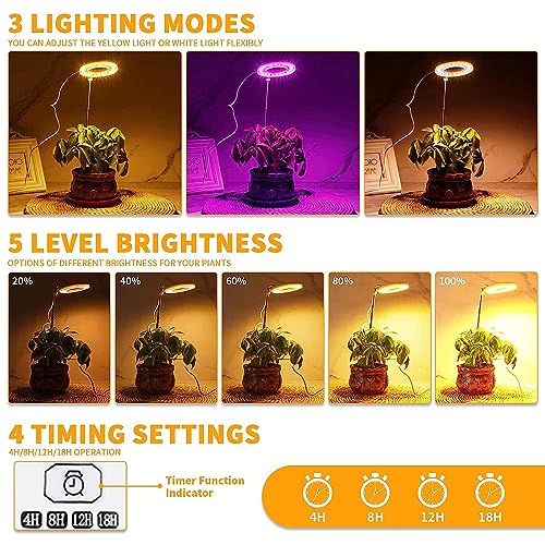 4000K White Full Spectrum Halo Plant Lamp with Auto On Off Timer M28473