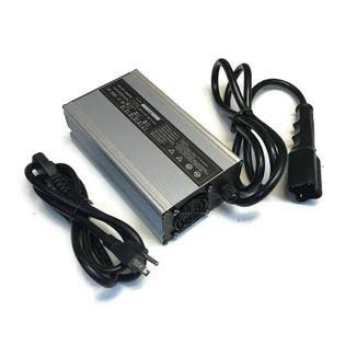 48V 3-Pin Battery Charger with Plug for Golf Cart W402531