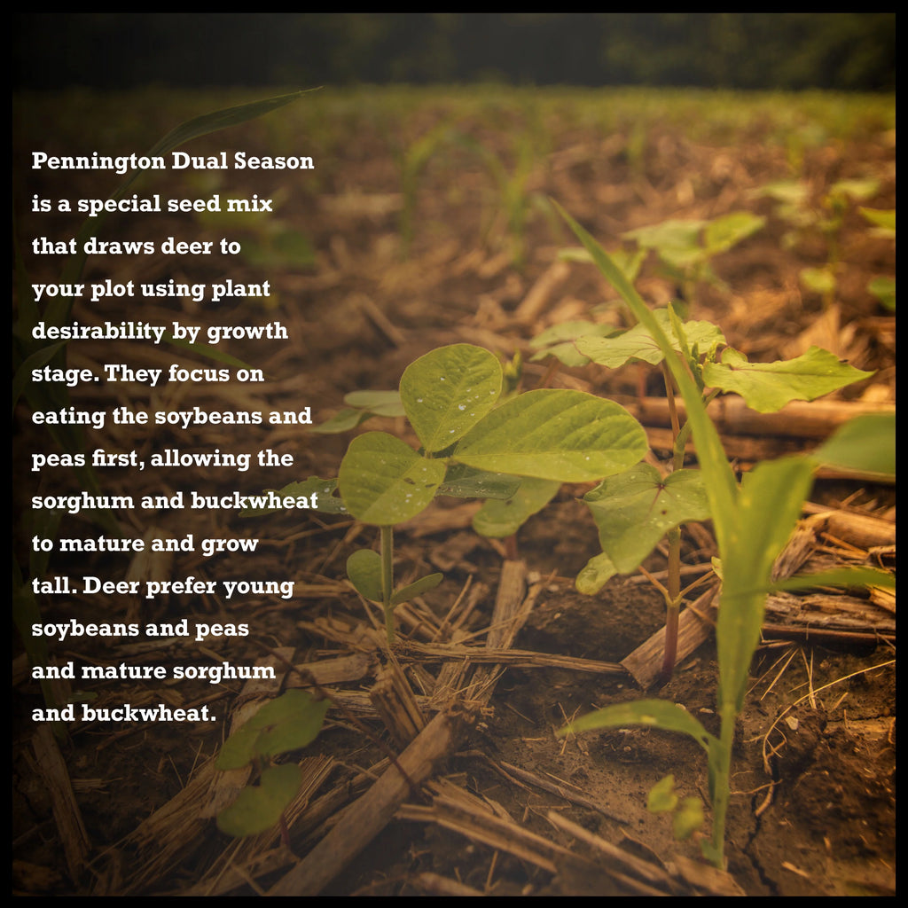 10 lb. Dual Season Food Plot Seed C38455