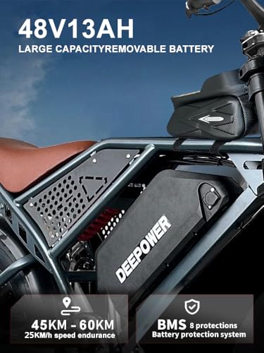 1500W Peak 20" Fat Tire Dual Suspension Electric Bike H7768