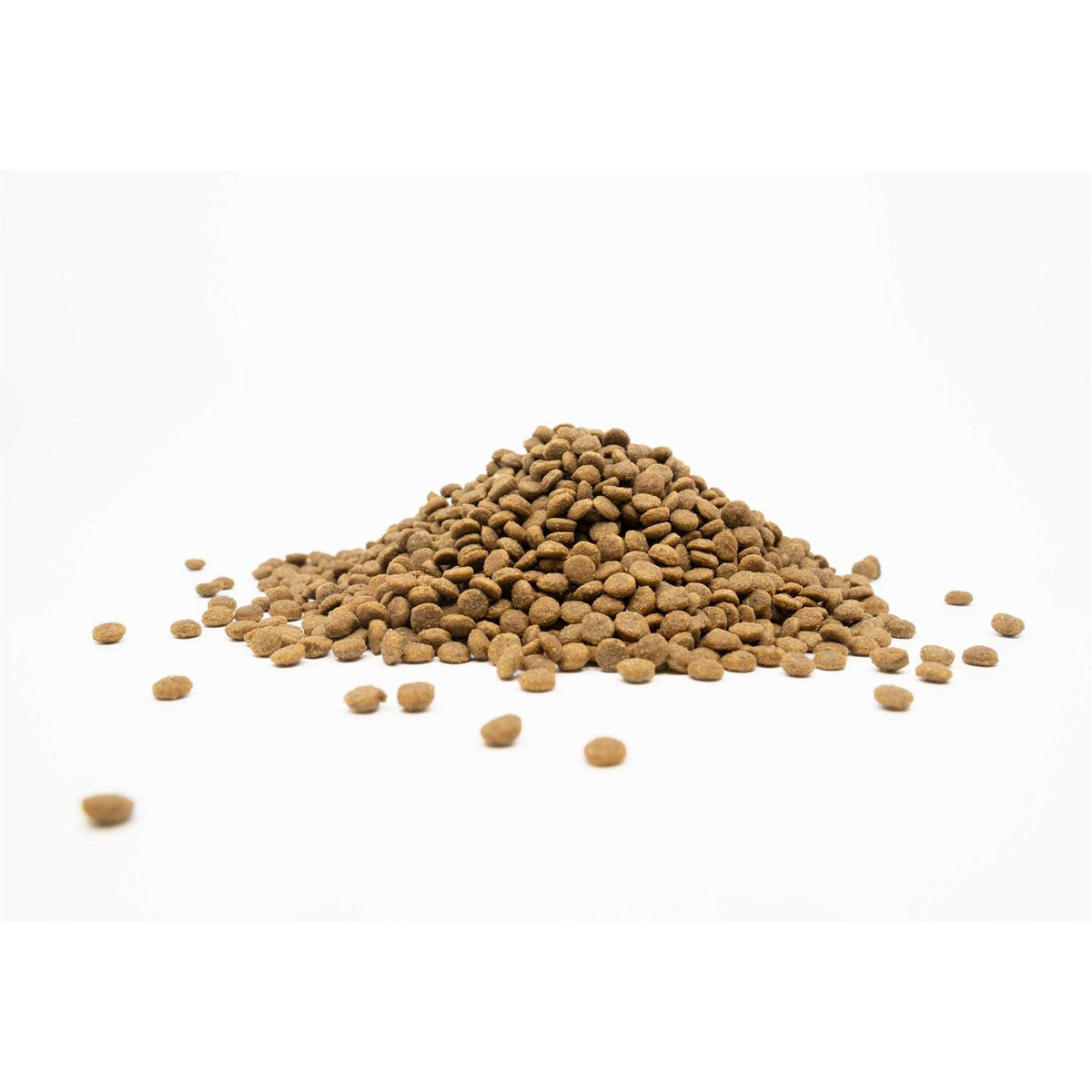 Grain-Free White Fish Adult Small Breed Dog Dry Food P4795
