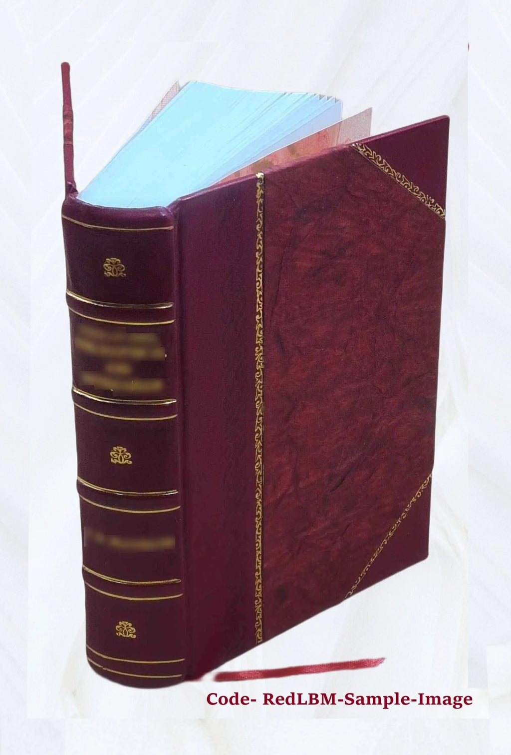 Leather Bound Book I877
