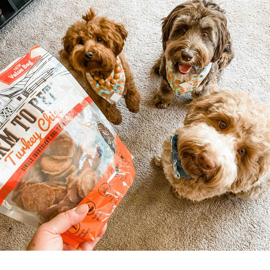 Turkey Chips Dog Treats Z9562