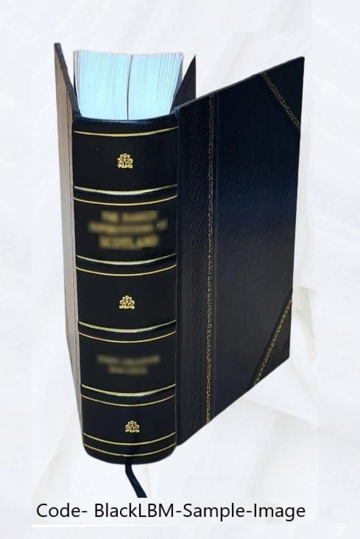 Leather Bound Book I877